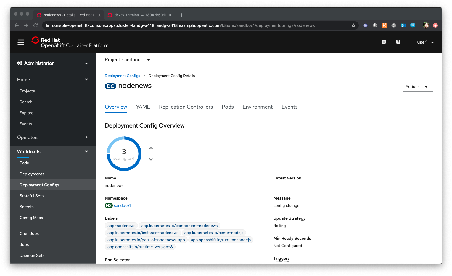 Scaling the Deployment