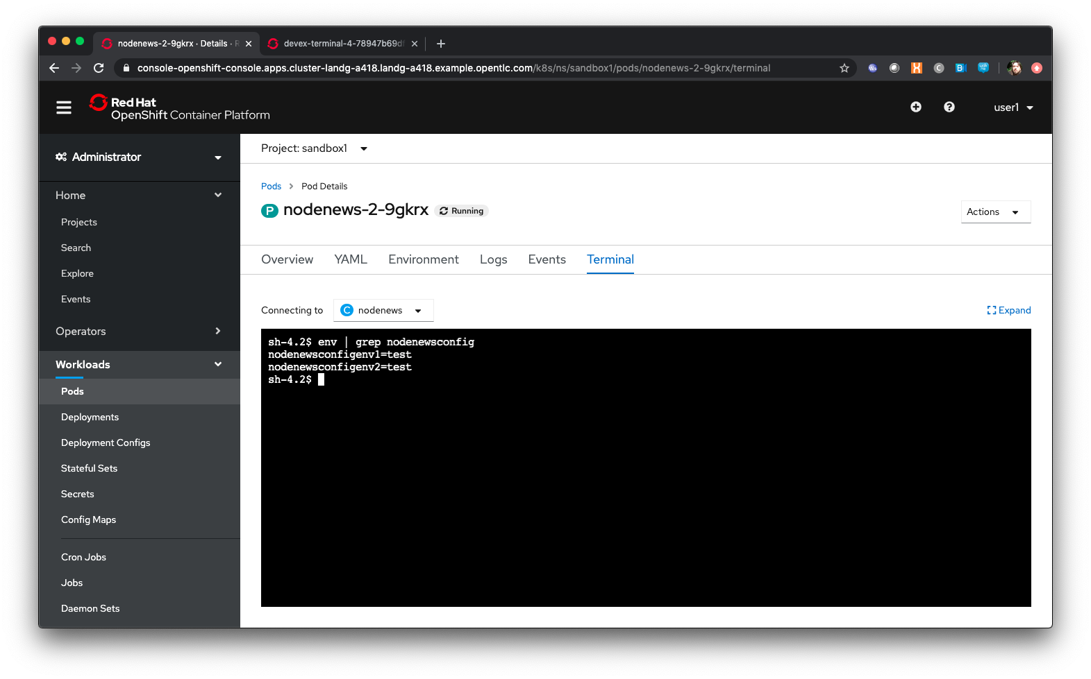 Injected config map environment variables